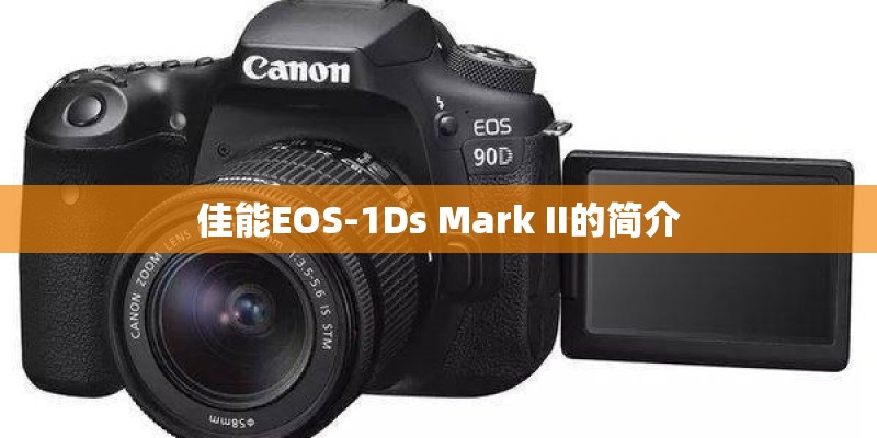 佳能EOS-1Ds Mark II的简介