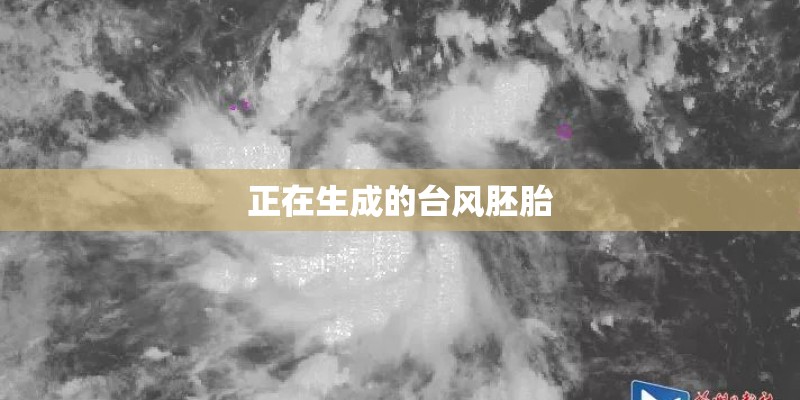 正在生成的台风胚胎
