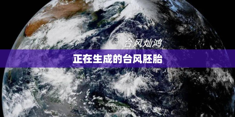 正在生成的台风胚胎