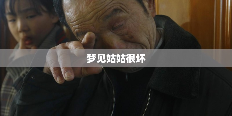 梦见姑姑很坏