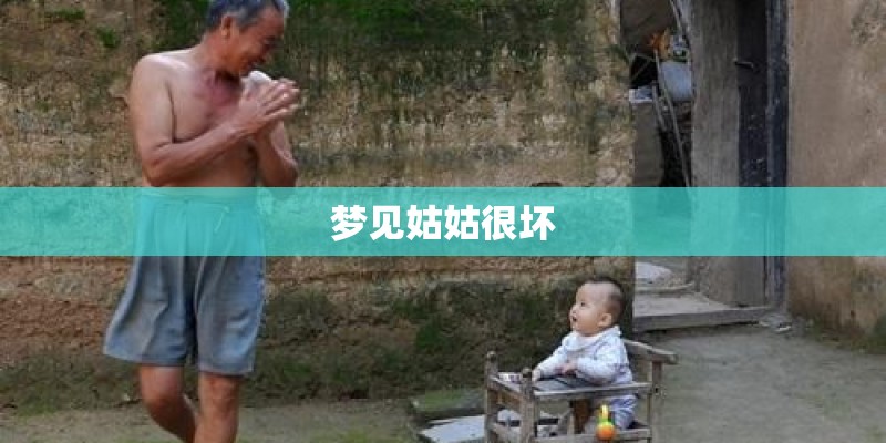 梦见姑姑很坏
