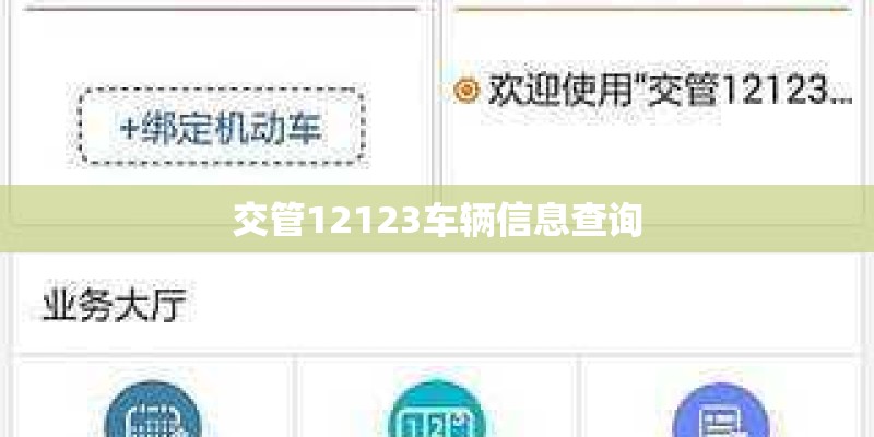 交管12123车辆信息查询
