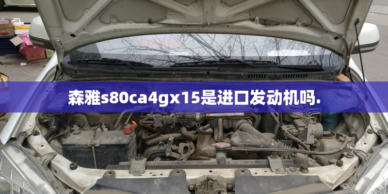 森雅s80ca4gx15是进口发动机吗.