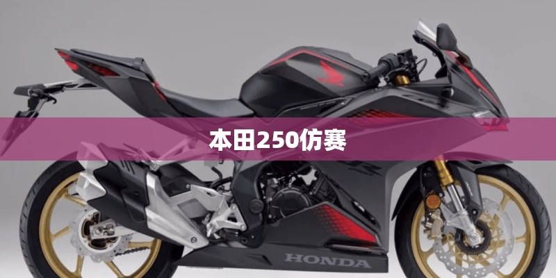本田250仿赛