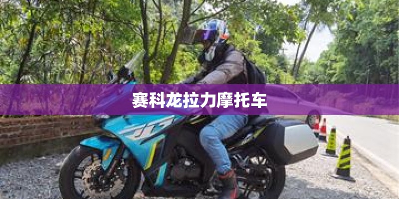 赛科龙拉力摩托车