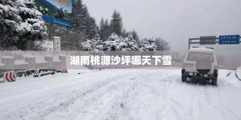湖南桃源沙坪哪天下雪