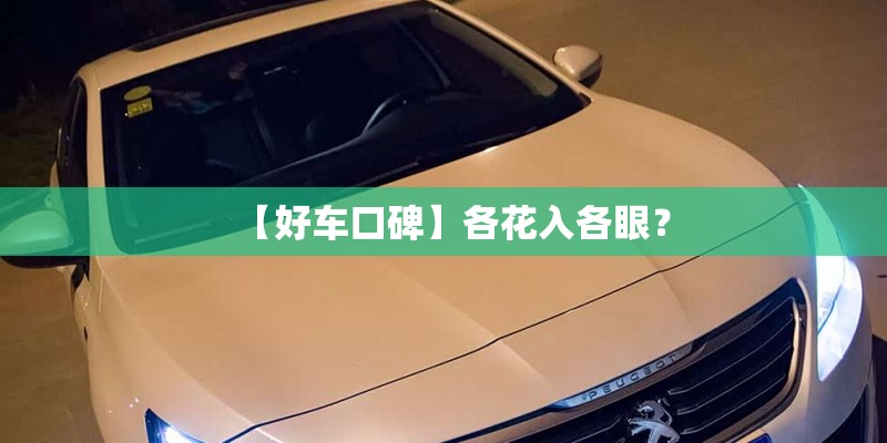 【好车口碑】各花入各眼？