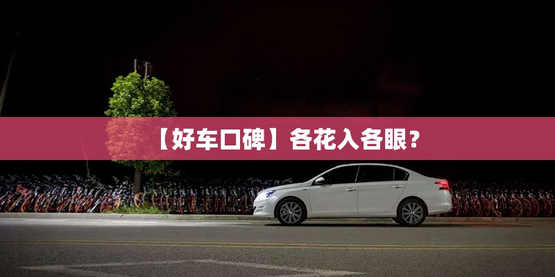 【好车口碑】各花入各眼？