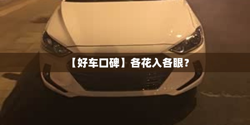 【好车口碑】各花入各眼？