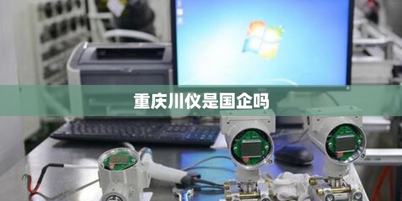 重庆川仪是国企吗