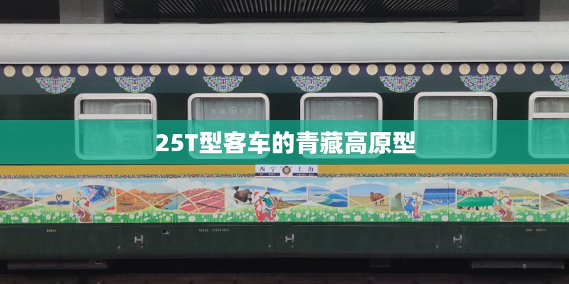 25T型客车的青藏高原型