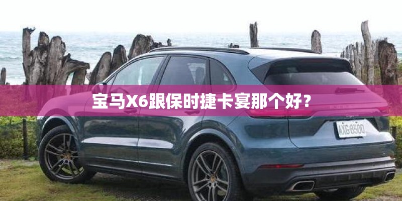 宝马X6跟保时捷卡宴那个好？