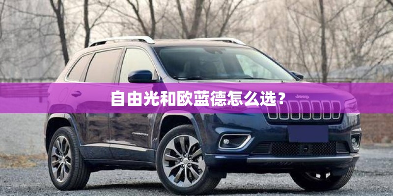 自由光和欧蓝德怎么选？