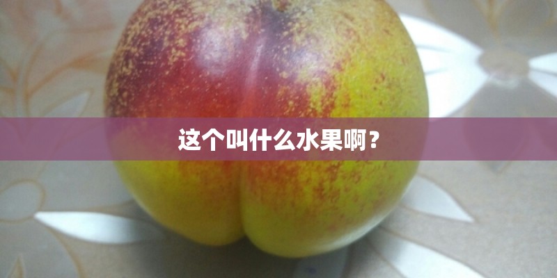 这个叫什么水果啊？