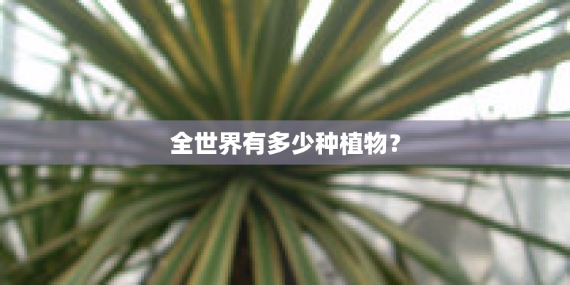 全世界有多少种植物？