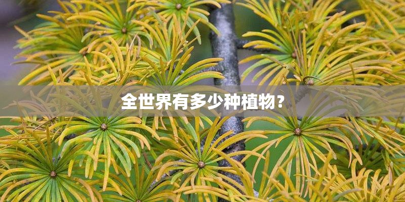 全世界有多少种植物？
