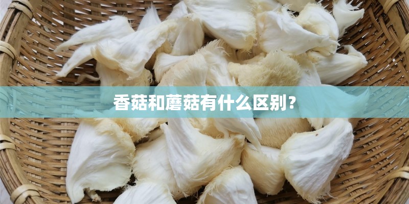 香菇和蘑菇有什么区别？