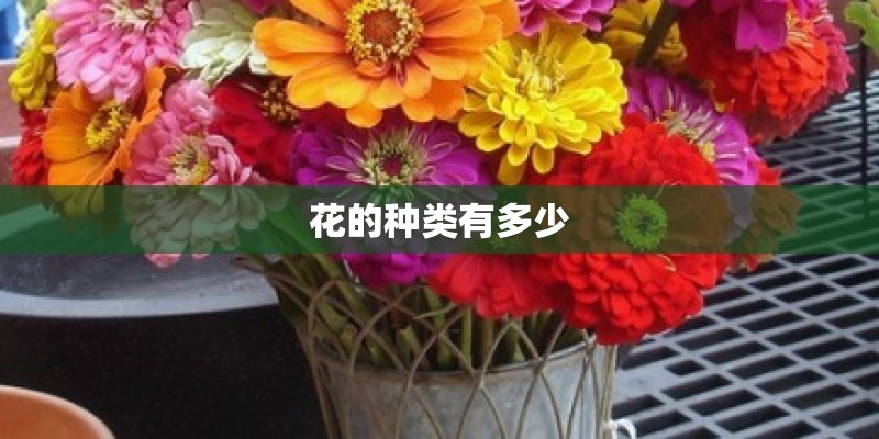 花的种类有多少