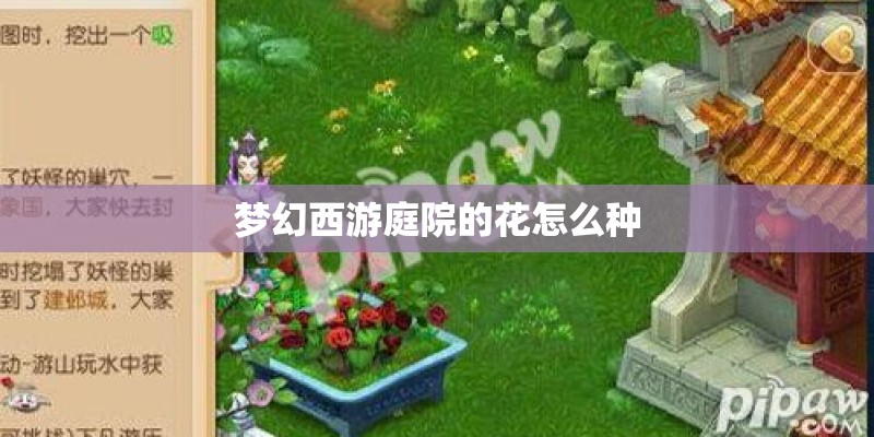 梦幻西游庭院的花怎么种