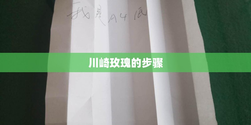 川崎玫瑰的步骤