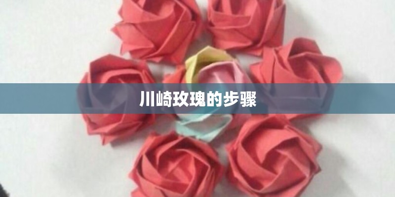 川崎玫瑰的步骤
