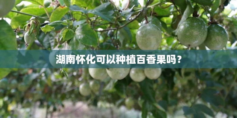 湖南怀化可以种植百香果吗？