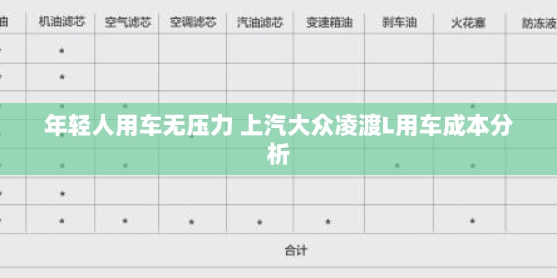 年轻人用车无压力 上汽大众凌渡L用车成本分析