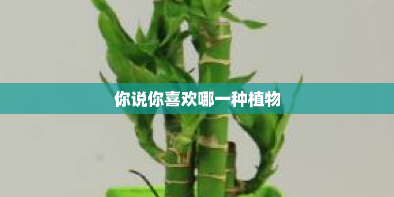 你说你喜欢哪一种植物