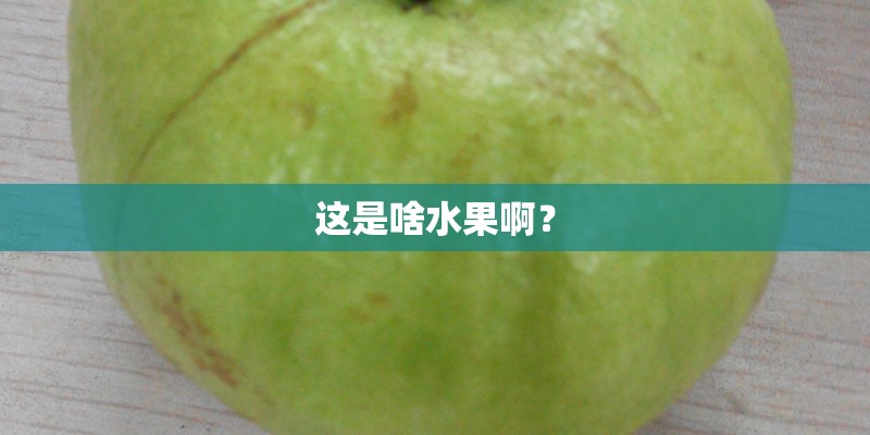 这是啥水果啊？