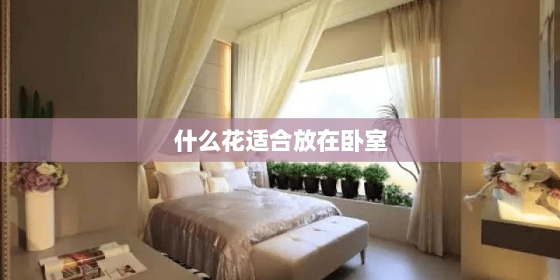什么花适合放在卧室