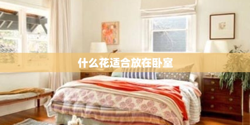 什么花适合放在卧室