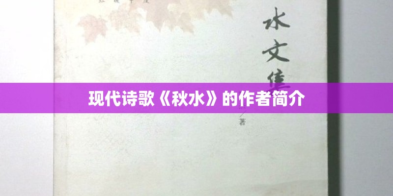 现代诗歌《秋水》的作者简介