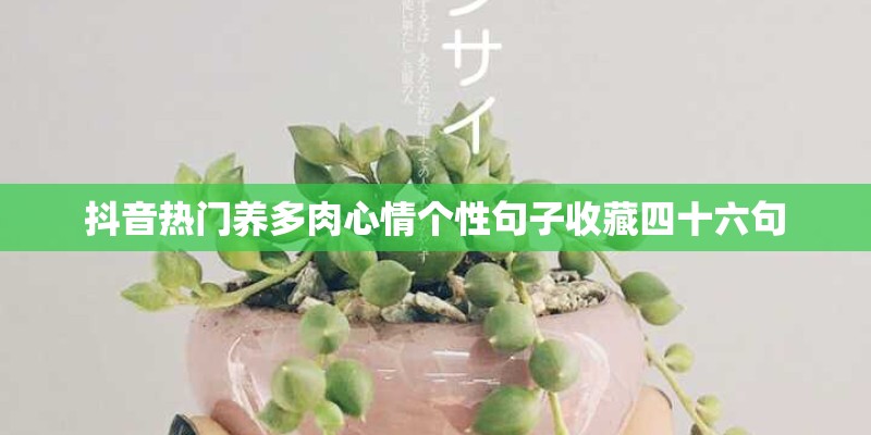 抖音热门养多肉心情个性句子收藏四十六句