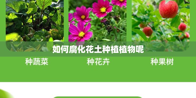 如何腐化花土种植植物呢