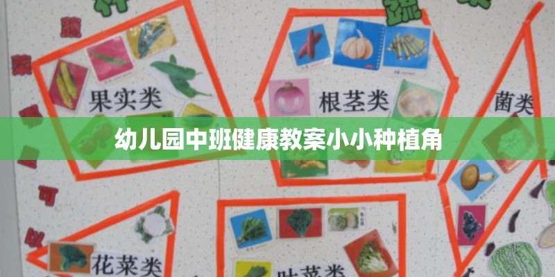 幼儿园中班健康教案小小种植角