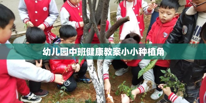 幼儿园中班健康教案小小种植角