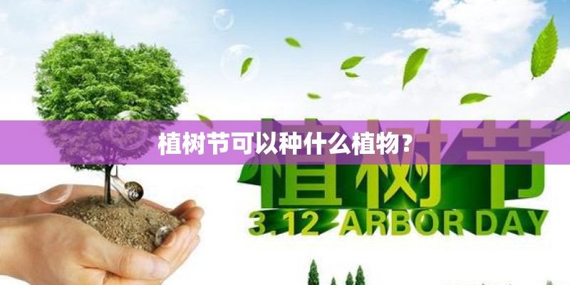 植树节可以种什么植物？