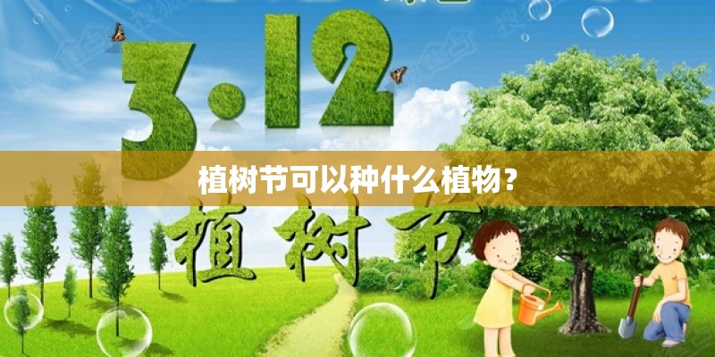 植树节可以种什么植物？
