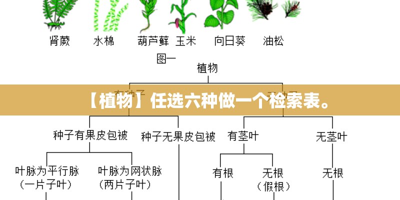 【植物】任选六种做一个检索表。