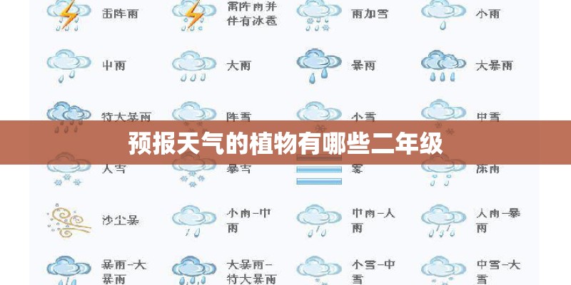 预报天气的植物有哪些二年级