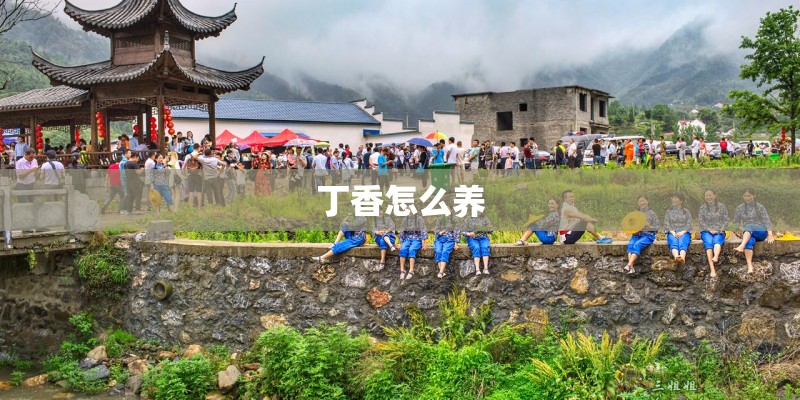 丁香怎么养 丁香怎么养
