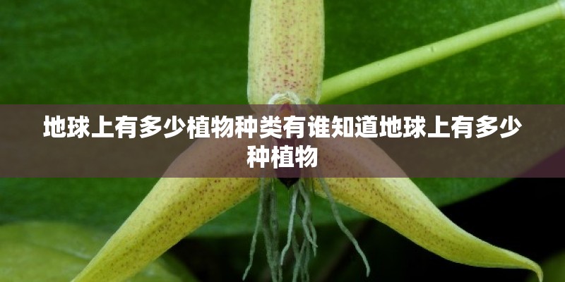 地球上有多少植物种类有谁知道地球上有多少种植物