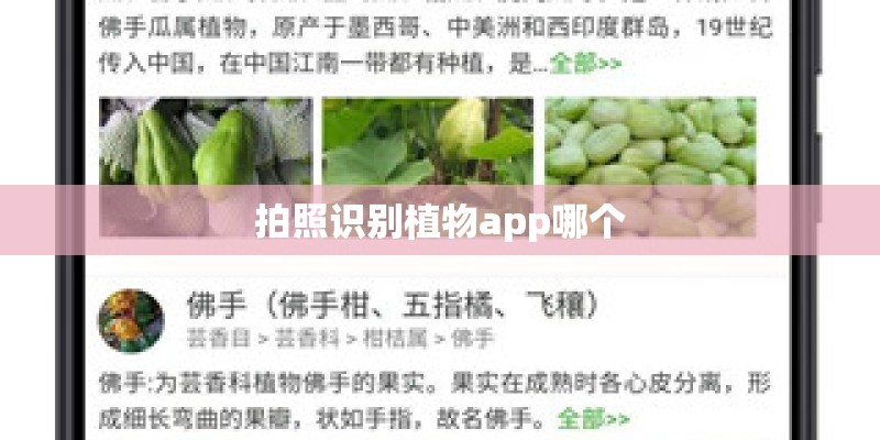 拍照识别植物app哪个 拍照识别植物app哪个