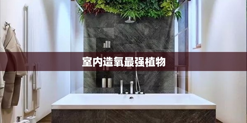 室内造氧最强植物