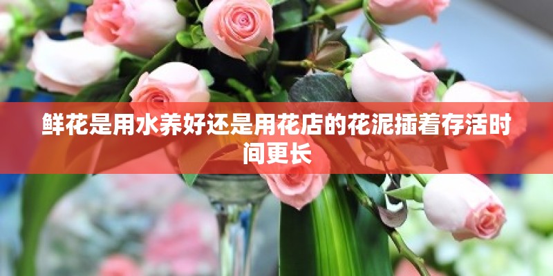 鲜花是用水养好还是用花店的花泥插着存活时间更长