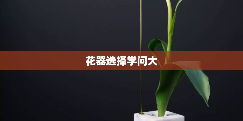 花器选择学问大 花器选择学问大