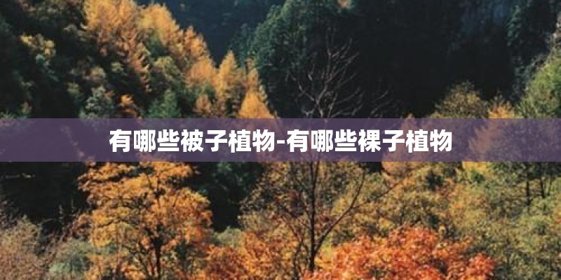 有哪些被子植物-有哪些裸子植物