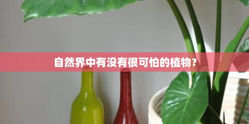 自然界中有没有很可怕的植物？