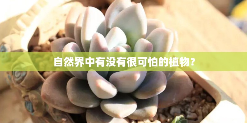 自然界中有没有很可怕的植物？