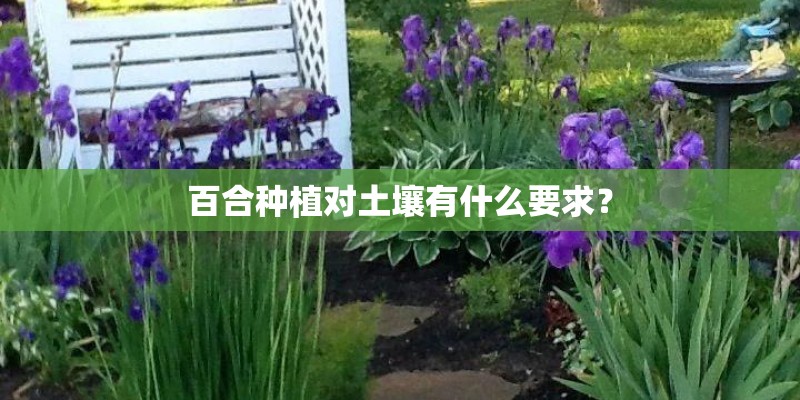 百合种植对土壤有什么要求? 百合种植对土壤有什么要求?